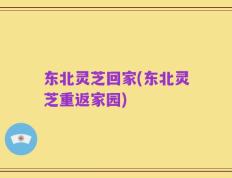 东北灵芝回家(东北灵芝重返家园)