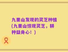 九里山发现的灵芝种植(九里山惊现灵芝，耕种益身心！)