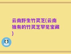 云南野生竹灵芝(云南独有的竹灵芝罕见宝藏)