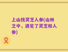 上山找灵芝人参(山林之中，遇见了灵芝和人参)
