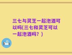三七与灵芝一起泡酒可以吗(三七和灵芝可以一起泡酒吗？)