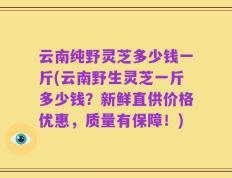 云南纯野灵芝多少钱一斤(云南野生灵芝一斤多少钱？新鲜直供价格优惠，质量有保障！)