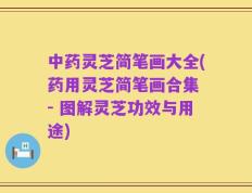 中药灵芝简笔画大全(药用灵芝简笔画合集 - 图解灵芝功效与用途)