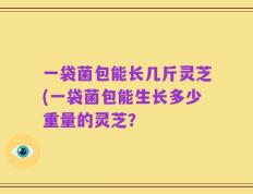一袋菌包能长几斤灵芝(一袋菌包能生长多少重量的灵芝？