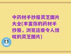 中药材手抄报灵芝图片大全(丰富你的药材手抄报，浏览这些令人惊叹的灵芝图片)