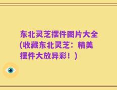 东北灵芝摆件图片大全(收藏东北灵芝：精美摆件大放异彩！)