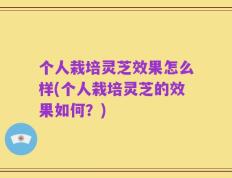 个人栽培灵芝效果怎么样(个人栽培灵芝的效果如何？)