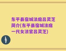 东平县宿城法庭吕灵芝简介(东平县宿城法庭一代女法官吕灵芝)
