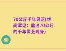 70公斤千年灵芝(世间罕见：重达70公斤的千年灵芝现身)