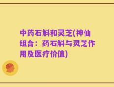中药石斛和灵芝(神仙组合：药石斛与灵芝作用及医疗价值)