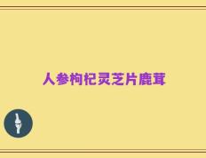 人参枸杞灵芝片鹿茸