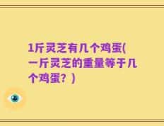 1斤灵芝有几个鸡蛋(一斤灵芝的重量等于几个鸡蛋？)