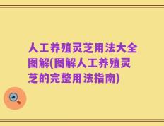 人工养殖灵芝用法大全图解(图解人工养殖灵芝的完整用法指南)