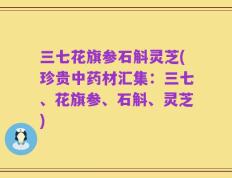 三七花旗参石斛灵芝(珍贵中药材汇集：三七、花旗参、石斛、灵芝)
