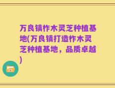 万良镇柞木灵芝种植基地(万良镇打造柞木灵芝种植基地，品质卓越)