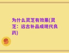 为什么灵芝有效果(灵芝：远古补品成现代良药)