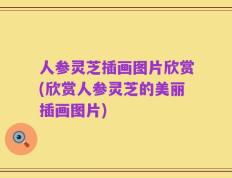 人参灵芝插画图片欣赏(欣赏人参灵芝的美丽插画图片)