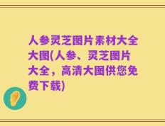 人参灵芝图片素材大全大图(人参、灵芝图片大全，高清大图供您免费下载)