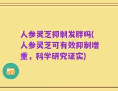 人参灵芝抑制发胖吗(人参灵芝可有效抑制增重，科学研究证实)