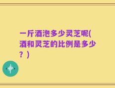 一斤酒泡多少灵芝呢(酒和灵芝的比例是多少？)