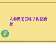 人参灵芝五味子枸杞鹿茸