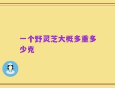 一个野灵芝大概多重多少克