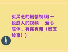 买灵芝的剧情视频(一段感人的视频： 爱心陪伴，有你有我（灵芝故事）)