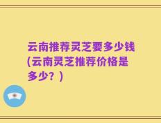 云南推荐灵芝要多少钱(云南灵芝推荐价格是多少？)