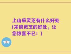 上山采灵芝有什么好处(采摘灵芝的好处，让您惊喜不已！)