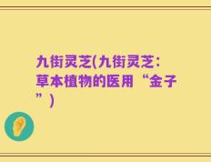 九街灵芝(九街灵芝：草本植物的医用“金子”)