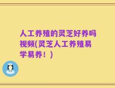 人工养殖的灵芝好养吗视频(灵芝人工养殖易学易养！)