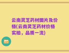 云南灵芝药材图片及价格(云南灵芝药材价格实拍，品质一流)
