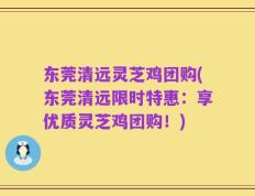 东莞清远灵芝鸡团购(东莞清远限时特惠：享优质灵芝鸡团购！)