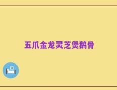 五爪金龙灵芝煲鹅骨