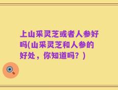 上山采灵芝或者人参好吗(山采灵芝和人参的好处，你知道吗？)