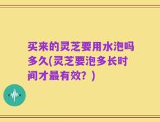 买来的灵芝要用水泡吗多久(灵芝要泡多长时间才最有效？)