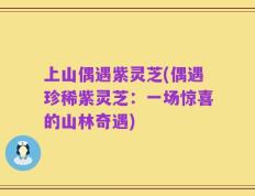 上山偶遇紫灵芝(偶遇珍稀紫灵芝：一场惊喜的山林奇遇)
