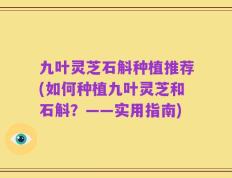 九叶灵芝石斛种植推荐(如何种植九叶灵芝和石斛？——实用指南)