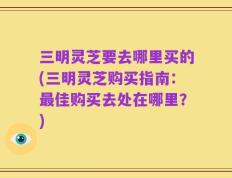 三明灵芝要去哪里买的(三明灵芝购买指南：最佳购买去处在哪里？)