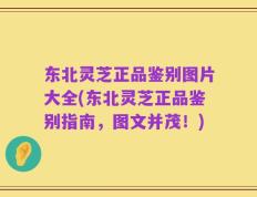 东北灵芝正品鉴别图片大全(东北灵芝正品鉴别指南，图文并茂！)