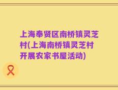 上海奉贤区南桥镇灵芝村(上海南桥镇灵芝村开展农家书屋活动)