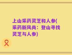 上山采药灵芝和人参(采药新风尚：登山寻找灵芝与人参)