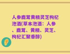 人参鹿茸黄精灵芝枸杞泡酒(草本泡酒：人参、鹿茸、黄精、灵芝、枸杞汇聚香醇)