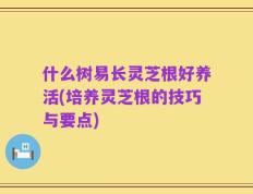 什么树易长灵芝根好养活(培养灵芝根的技巧与要点)
