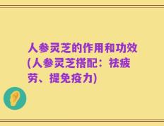 人参灵芝的作用和功效(人参灵芝搭配：祛疲劳、提免疫力)