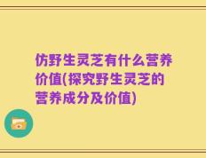 仿野生灵芝有什么营养价值(探究野生灵芝的营养成分及价值)