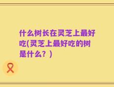 什么树长在灵芝上最好吃(灵芝上最好吃的树是什么？)