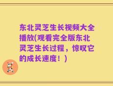 东北灵芝生长视频大全播放(观看完全版东北灵芝生长过程，惊叹它的成长速度！)