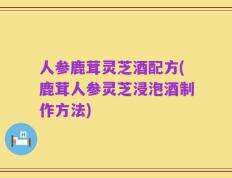 人参鹿茸灵芝酒配方(鹿茸人参灵芝浸泡酒制作方法)