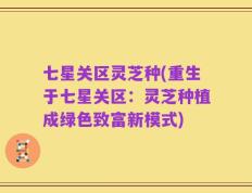 七星关区灵芝种(重生于七星关区：灵芝种植成绿色致富新模式)